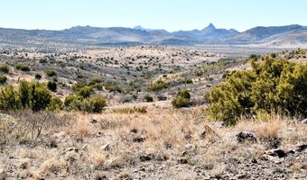 100 High Lonesome, Alpine, TX 79830