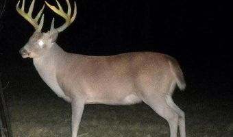 0 HWY 71, Alexandria, LA 71303
