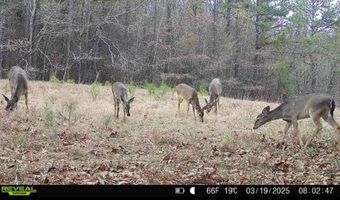 3 County Road 5112, Ethel, MS 38829