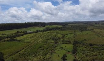 1-3 PRIVATE Rd, Hakalau, HI 96710