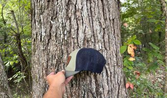 6150 SHOAL CREEK Rd 124+/- Acres, Ashville, AL 35953