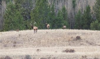 374 High River Ct Lot 4, Alma, CO 80420