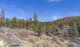 TBD Lot 5 Beaver Creek Ranch Drive, Bayfield, CO 81122