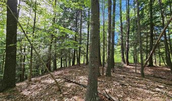 Province Road lot 26, Belmont, NH 03220