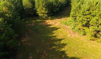 235 Woodrow Martin Rd, Brandon, MS 39042