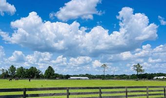 2120 15th Way, Bell, FL 32619