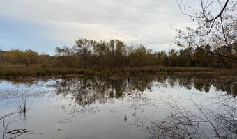 97 Acres Of Duck Ponds On McKenzie Trl, Furman, SC 29921