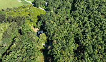 621 Acres Of Whitetail Dr, Bruceton Mills, WV 26525