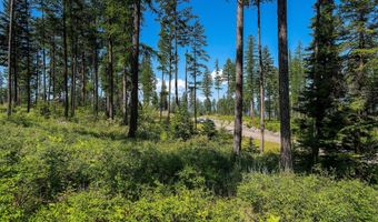 246 Trading Post Trl, Bigfork, MT 59911