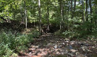 Bryant Hollow Road, Alderson, WV 24910