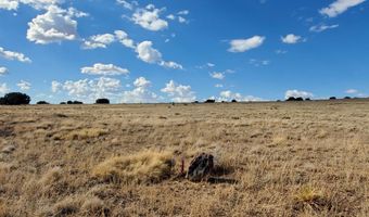 1 County Road 5088, Concho, AZ 85924