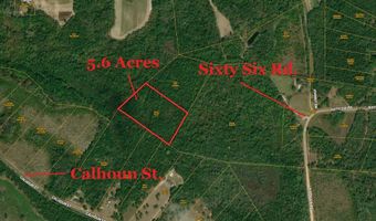 Calhoun Street, Branchville, SC 29432