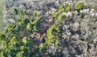 271 18 Acres Zwettler/Foster Rd, Arena, WI 53503