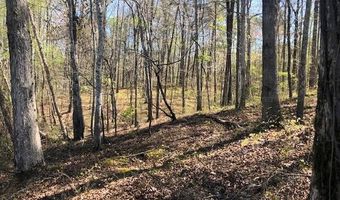 W POINT DRIVE lot 2 & 3, Arley, AL 35541