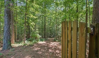 202 Saddlehorn Trl, Ball Ground, GA 30107