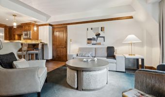 415 E Dean St Unit 36 Week 33, Aspen, CO 81611