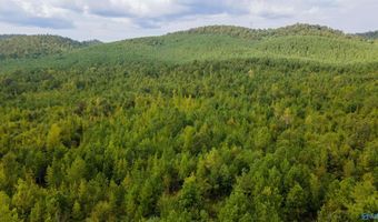 10675 29 Acres Shoal Creek Rd, Ashville, AL 35953