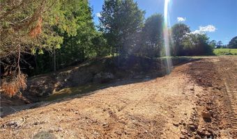 Tract 2 Hwy 51S, Homer, GA 30547