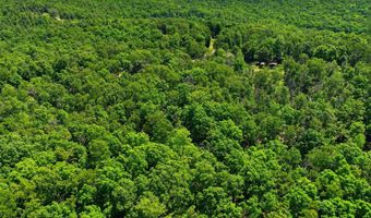 County Road 101, Alton, MO 65606