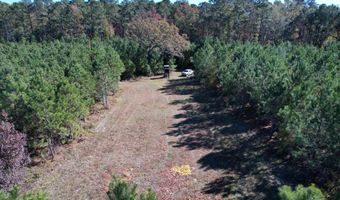 57 40 Acres-TBD Cades Rd, Cades, SC 29518