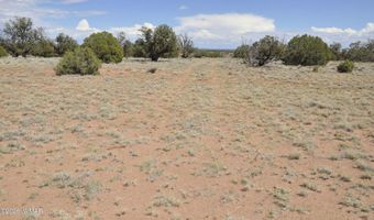 19 C & D County Rd N9033, Concho, AZ 85924
