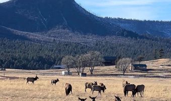 3 County Road N2261, Alpine, AZ 85920