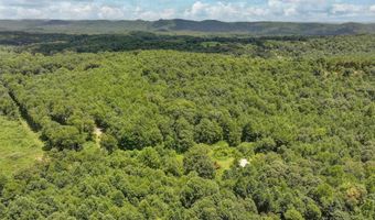 212 Brans Chapel Rd, Attalla, AL 35954