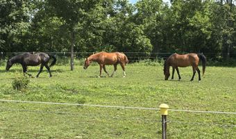 23951 State Highway Z, Ash Grove, MO 65604