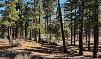 194 Cartwright Ct Lot 244, Carson City, NV 89705
