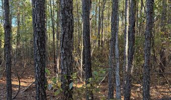 Richmond Road, Amelia Court House, VA 23002