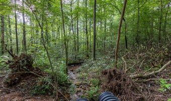 23 59 Ac Chestnut Flats Rd, Andrews, NC 28901