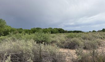 Winery Road, Bosque, NM 87006