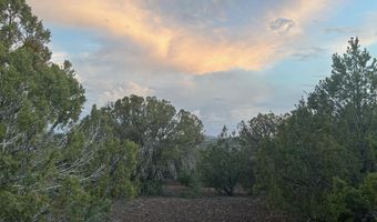 Lot 11 Uphill Trail, Vernon, AZ 85940