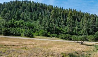554 Pine Spring Dr, Bayfield, CO 81122