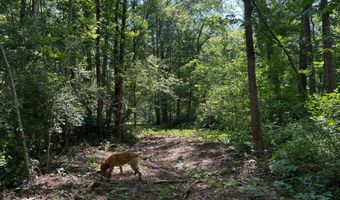HOLLYWOOD RD, Appomattox, VA 24522