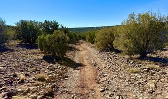 Kirkland DR 20 Acres, Concho, AZ 85924