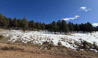 Lot 19 Buckskin Rd, Angel Fire, NM 87710