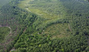 Goldenrod Drive, Barnwell, SC 29812