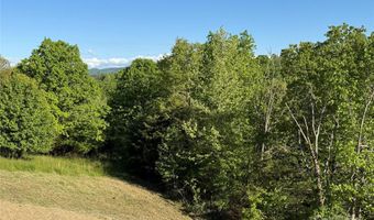 15 Woodchuck Cv, Alexander, NC 28701