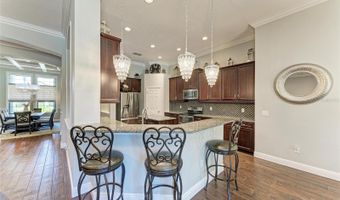 303 COCKLE SHELL Loop, Apollo Beach, FL 33572