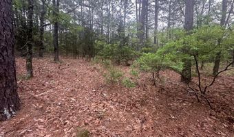 UNIT # 263B KIAMICHI WILDERNESS RD Unit # 63 63, Antlers, OK 74523