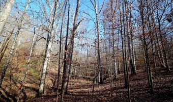 0 State Route 550, Amesville, OH 45711