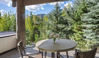 155 Nighthawk Dr, Aspen, CO 81611