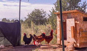 32637 County Road 53.7, Aguilar, CO 81020
