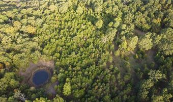 10 Acres CR 9204, Alpena, AR 72611