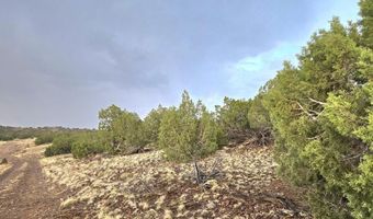 Pinon Valley Ranch lot 9, Concho, AZ 85924