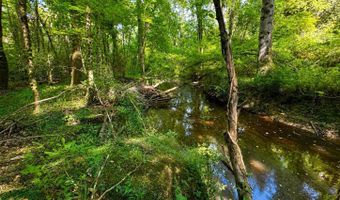 SW Auburn Drive, Bogue Chitto, MS 39629