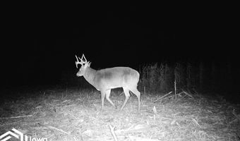 560 Th Ave, Albia, IA 52531