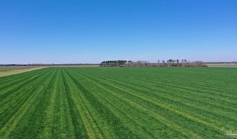 Davis Pond Rd lot 14, Atmore, AL 36502