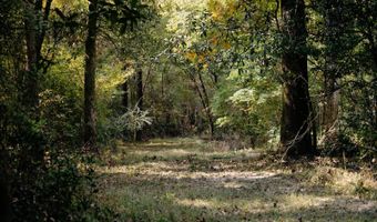 971 Somerset Rd SE, Bogue Chitto, MS 39629